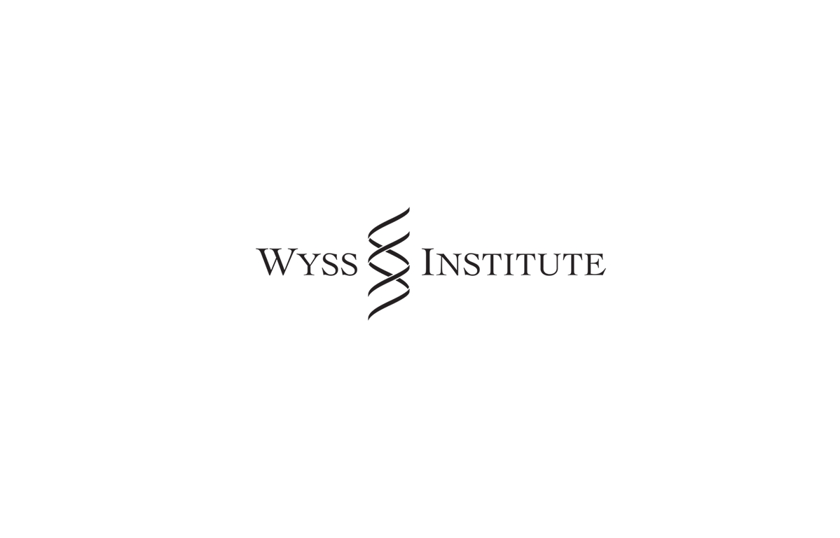 Wysswww